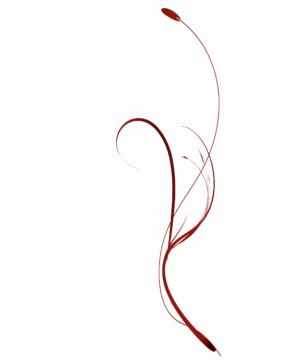 Zubehör
